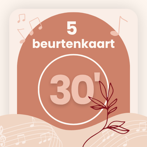 5 lessen van 30 minuten